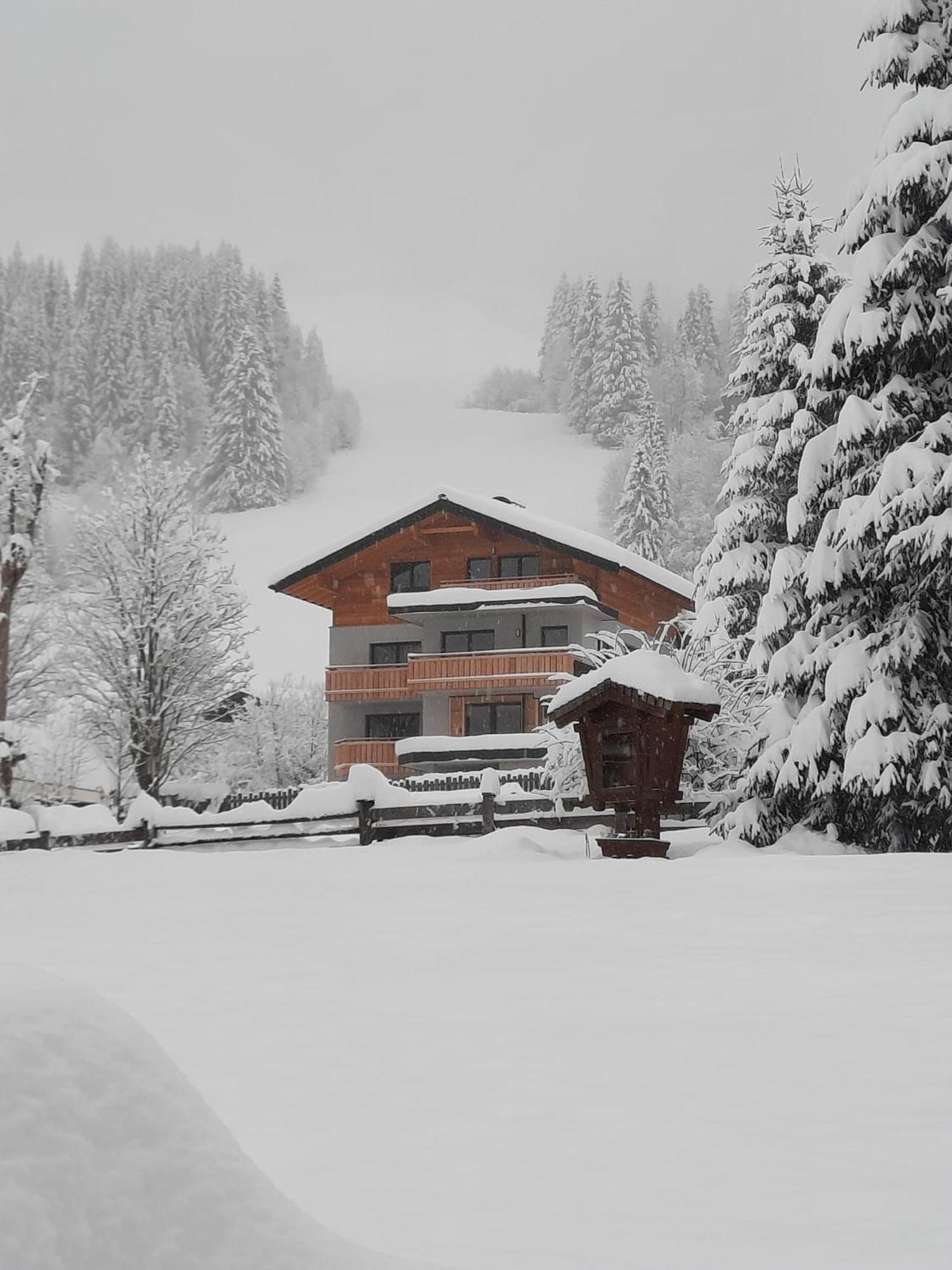 Privatzimmer/Apartments Schwarzenbacher Kleinarl Exterior foto