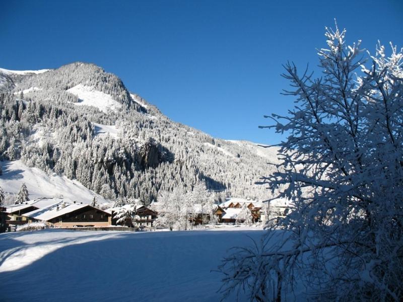 Privatzimmer/Apartments Schwarzenbacher Kleinarl Exterior foto